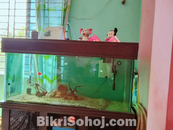 Aquarium Sell